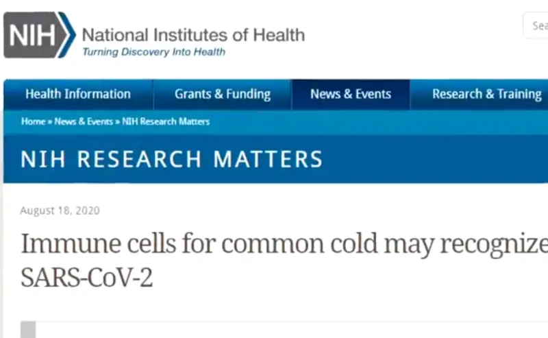 A screen shot from the National Institutes of Health website with an article titled, Immune cells for common cold may recognize SARS-CoV-2