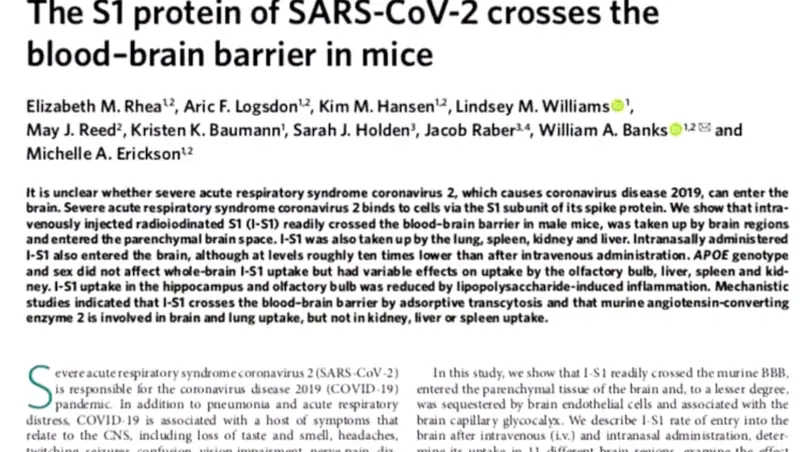 A scientific publication titled, The S1 protein of SARS-CoV-2 crosses the blood-brain barrier in mice